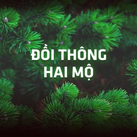 Cover image for Đồi Thông Hai Mộ