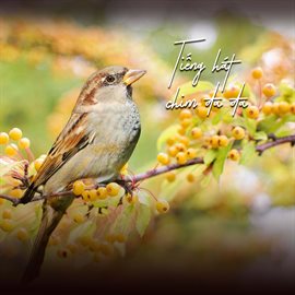 Cover image for Tiếng Hát Chim Đa Đa