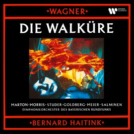 Cover image for Wagner: Die Walküre