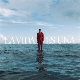 Cover image for LA VIDA ES UNA