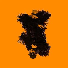 Cover image for Vocal (Remixes)