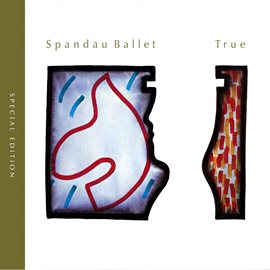 Cover image for True (Special Edition)