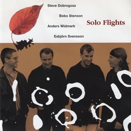 Cover image for Solo Flights