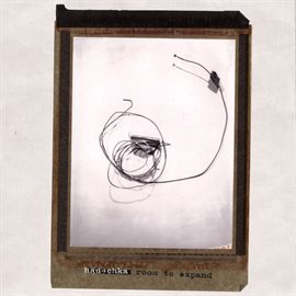 Imagen de portada para Room To Expand