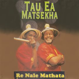 Cover image for Re Nale Mathata