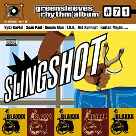 Cover image for Slingshot