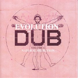 Cover image for Evolution Of Dub Vol 4
