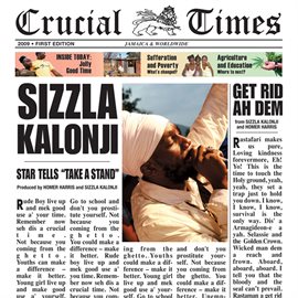 Cover image for Crucial Times