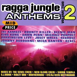 Cover image for Ragga Jungle Anthems Vol. Two