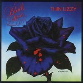 Cover image for Black Rose: A Rock Legend