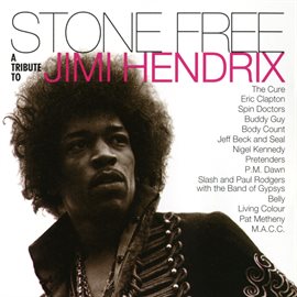 Cover image for Stone Free: A Tribute to Jimi Hendrix