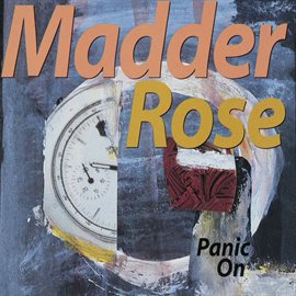 Cover image for Panic On