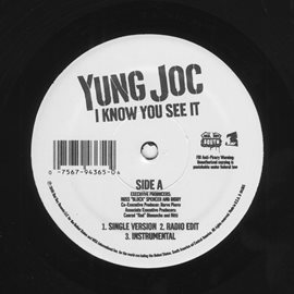 Imagen de portada para I Know You See It