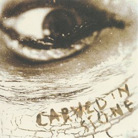 Imagen de portada para Carved In Stone