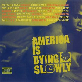 Cover image for America Is Dying Slowly