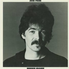 Cover image for Bruised Orange