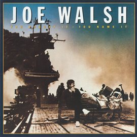 Cover image for You Bought It - You Name It