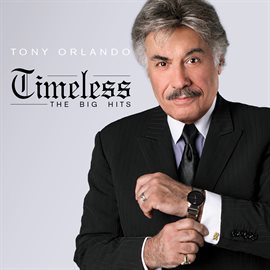 Cover image for Timeless The Big Hits