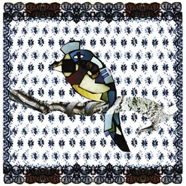 Cover image for Bluebird