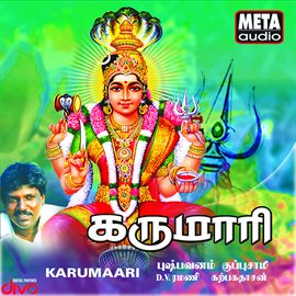 Cover image for Karumaari