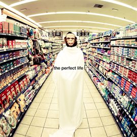 Cover image for The Perfect Life (feat. Wayne Coyne)