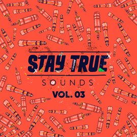 Cover image for Stay True Sounds Vol.3 (Compiled by Kid Fonque)