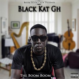 Imagen de portada para The Boom Boom