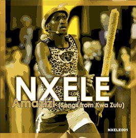 Imagen de portada para Amazizi (Songs from Kwa Zulu)