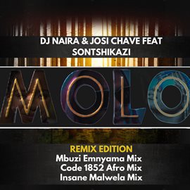 Cover image for MOLO REMIX EP