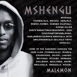 Cover image for Mshengu