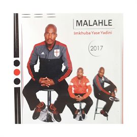 Cover image for Imkhuba Yase Yadini