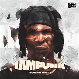 Cover image for Iamfunk!