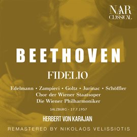 Cover image for BEETHOVEN: FIDELIO