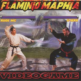 Cover image for Videogame