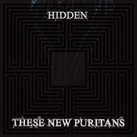 Cover image for Hidden