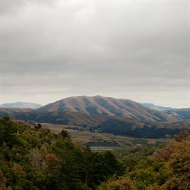 Imagen de portada para Mount Wittenberg Orca