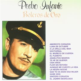Imagen de portada para Boleros de Oro (16 tracks)
