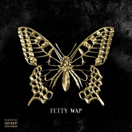 Cover image for The Butterfly Effect