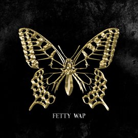 Cover image for The Butterfly Effect