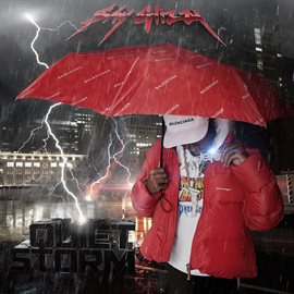 Cover image for Quiet Storm