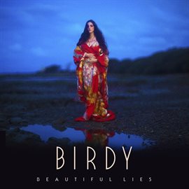 Cover image for Beautiful Lies
