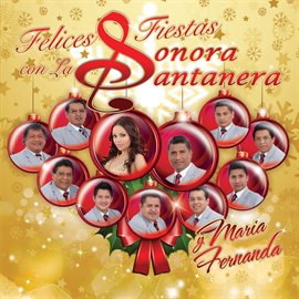 Imagen de portada para Felices Fiestas