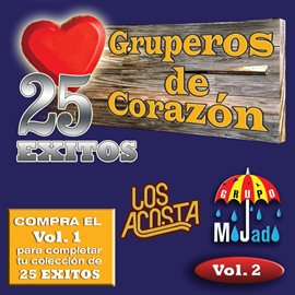 Cover image for 25 Exitos Vol. 2 (USA)