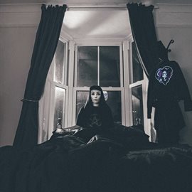 Cover image for The Stranger