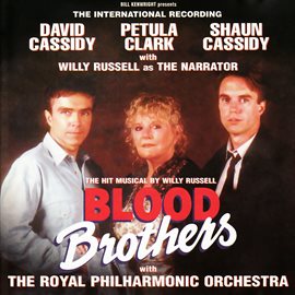 Cover image for Blood Brothers (International Cast Recording)