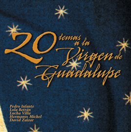 Cover image for 20 Temas en homenaje a la virgen de Guadalupe - USA