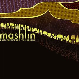 Cover image for Pushing Through The Seasons