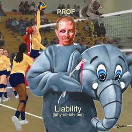 Cover image for Liability