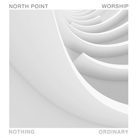 Cover image for Nothing Ordinary
