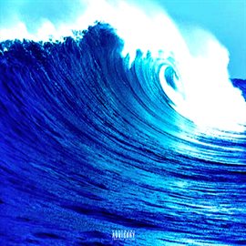 Cover image for WAV Collection